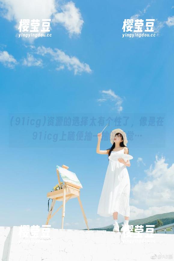资源的选择太有个性了，像是在91icg上随便抽一抽的感觉…