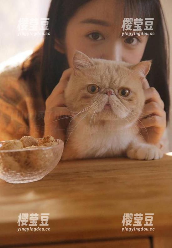 买了hlw苹果版，我的生活是不是应该更丰富一点？但果然还是很奇怪…