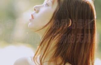 吃瓜头条的网站最懂我，带你进入掉进“瓜批”深渊的无限循环！