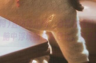 直达吃瓜网，自带加速的最新热闻，脑中浮现的奇怪想法，有点兴奋