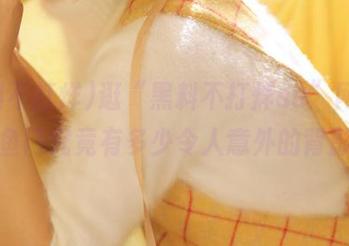 逛“黑料不打烊su”网站，鲤鱼门究竟有多少令人意外的背影？