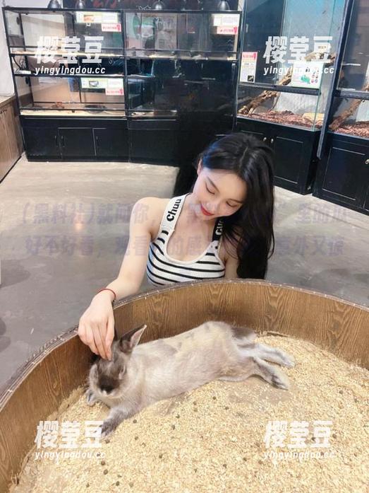 就问你，“黑料社app”里的瓜好不好看，观看它的感觉就是：意外又惊喜