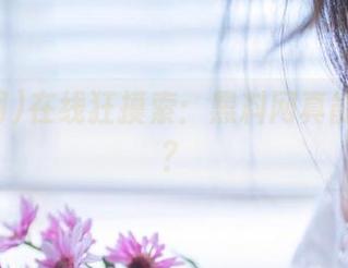 在线狂摸索：黑料网真能进去吗？
