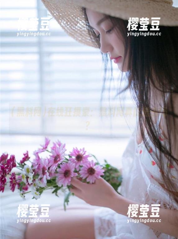 在线狂摸索：黑料网真能进去吗？